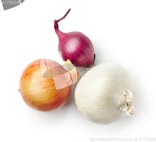 Image of various onions on white background