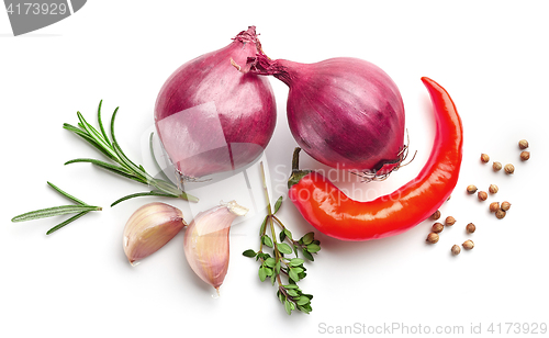 Image of red onions and spices on white background