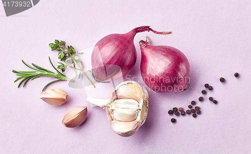 Image of red onions and spices