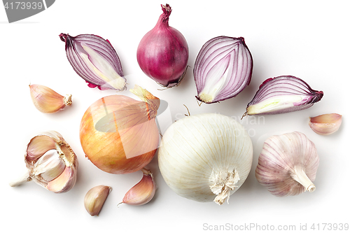 Image of various onions and garlic