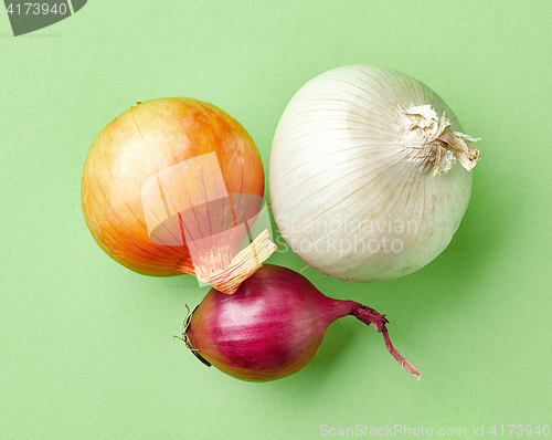 Image of various onions on green background