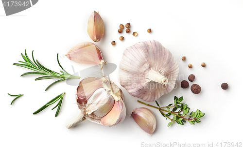 Image of garlic and herbs on white background