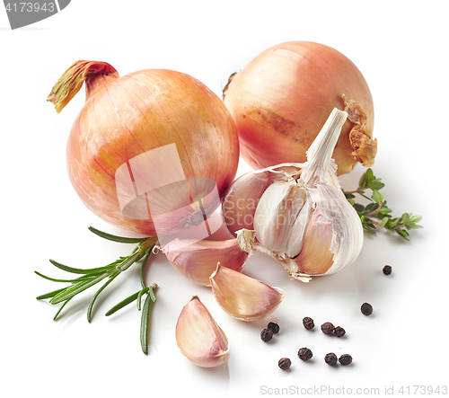 Image of onions, garlic and spices