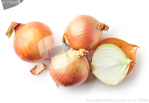 Image of fresh raw onions on white background