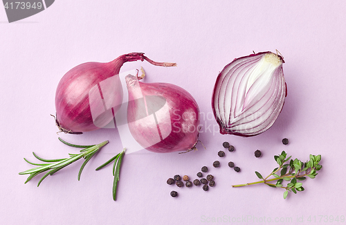 Image of red onions and spices