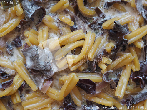 Image of Paccheri pasta with mushrooms