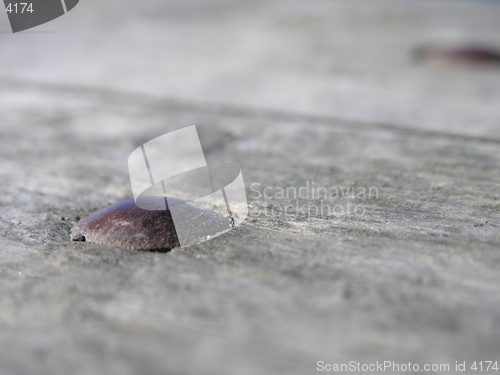 Image of nails in wooden surface