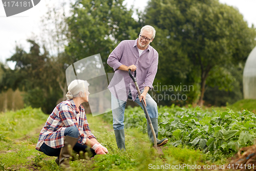 Image of senior couple working in garden or at summer farm