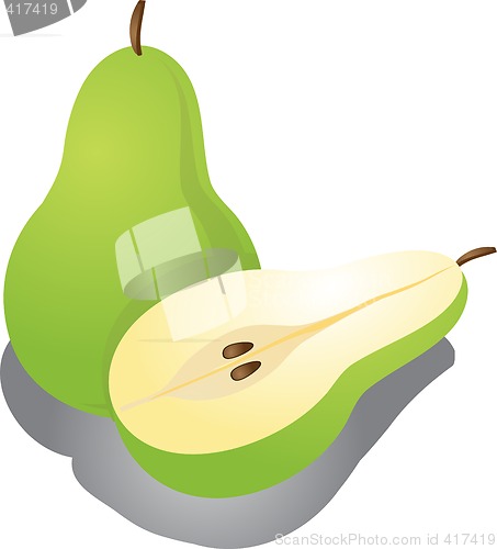 Image of Pear illustration