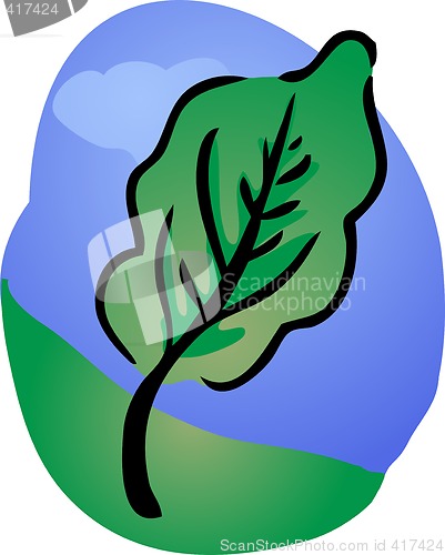 Image of Summertime tree
