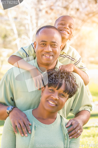 Image of Beautiful Happy African American Family Portrait Outdoors
