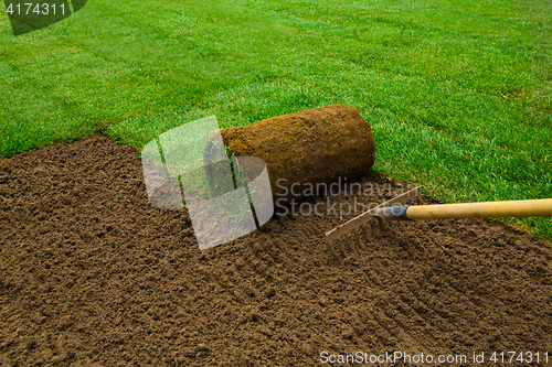 Image of Lawned garden 