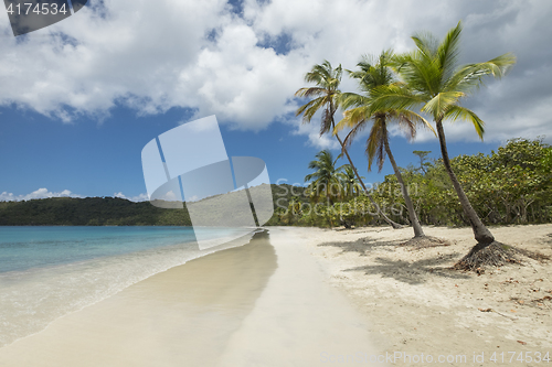 Image of Tropical beach in Saint Thomas\r