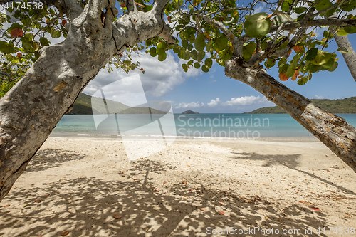 Image of Magens bay beach in Saint Thomas\r