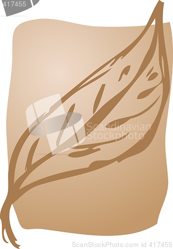 Image of Leaf illustration