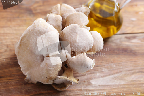 Image of Oyster mushrooms mushrooms and olive oil.