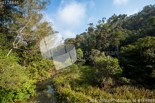 Image of Madagascar beautiful landscape