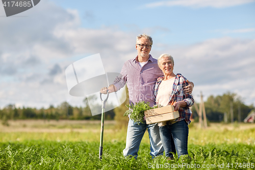 Image of senior couple with shovel and carrots on farm