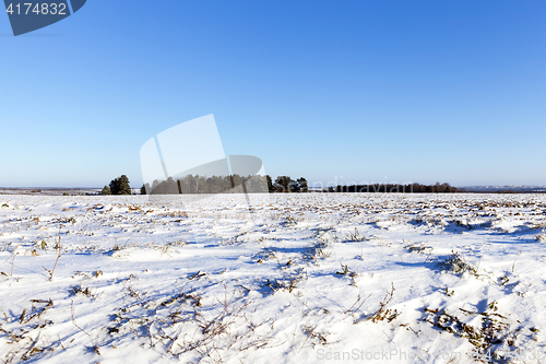 Image of snow-covered field, winter