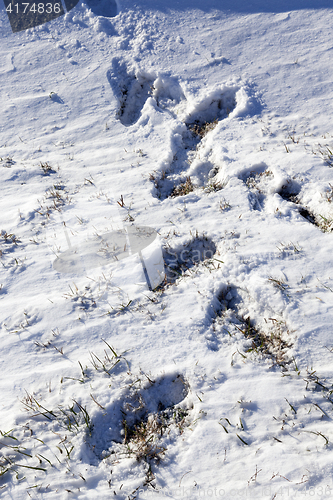 Image of human footprints in the snow