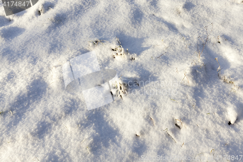 Image of bumps in the snow, winter