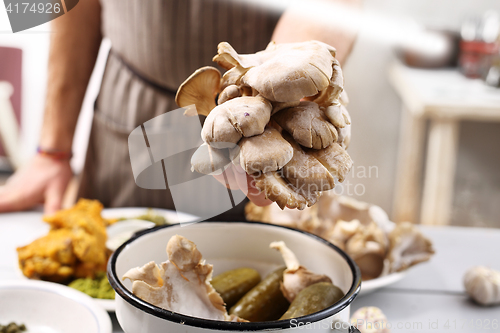 Image of Oyster mushrooms in vegetarian cuisine.