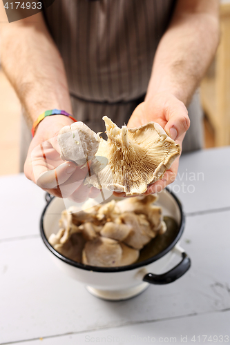 Image of Oyster mushrooms mushrooms and olive oil. oyster mushrooms in the kitchen.