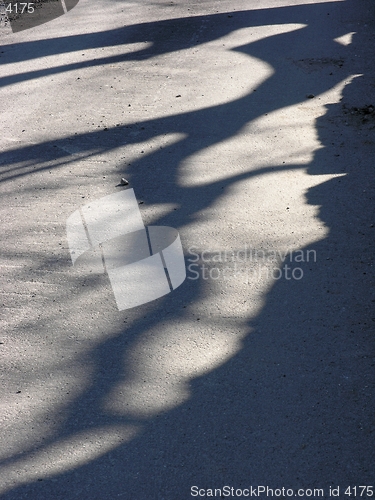 Image of shadows on the pavement