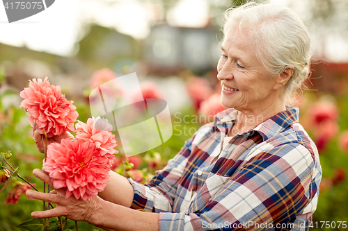 Image of senior woman with flowers at summer garden