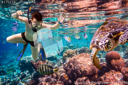 Image of Snorkeler Maldives Indian Ocean coral reef.