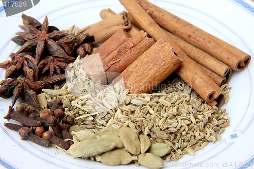 Image of Spices and herbs