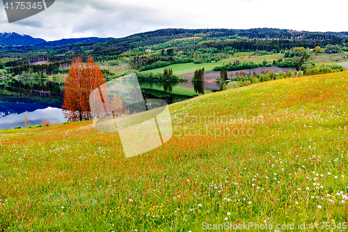 Image of Beautiful Nature Norway.