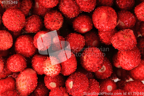 Image of fresh red strawberries background