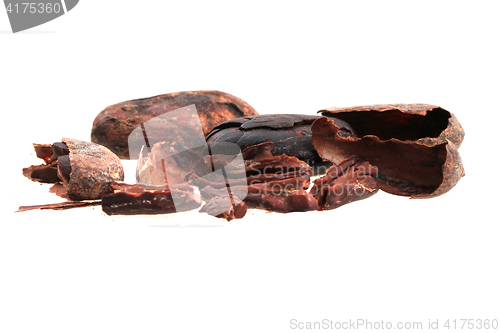 Image of fresh cocoa bean 