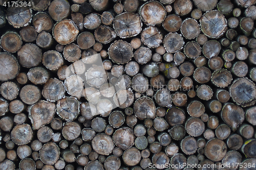 Image of old firewood background\r\n