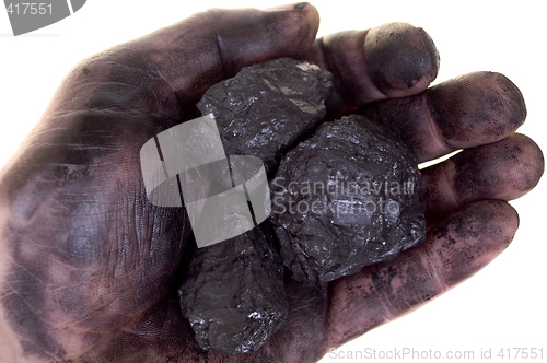 Image of Pieces of coal in dirty palm