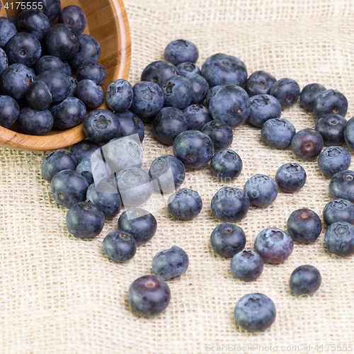 Image of Blueberries