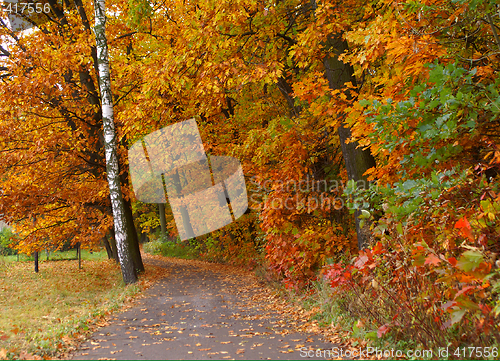 Image of Fall way