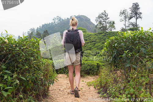 Image of Female tourist enjoying beautiful nature of tea plantations, Sri Lanka.