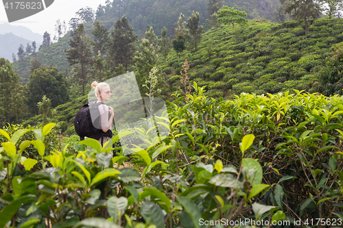 Image of Female tourist enjoying beautiful nature of tea plantations, Sri Lanka.