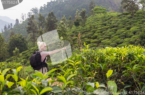 Image of Female tourist enjoying beautiful nature of tea plantations, Sri Lanka.