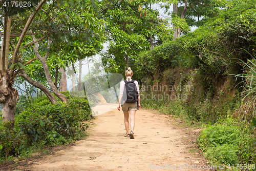 Image of Female tourist enjoying beautiful nature of tea plantations, Sri Lanka.