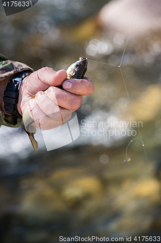 Image of Fisherman holding caught