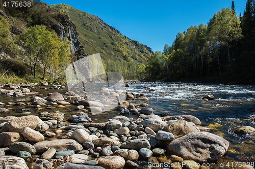 Image of Fast mountain river in Altay