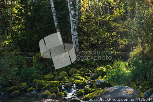 Image of Fast mountain river in Altay