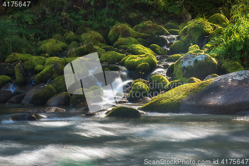 Image of Fast mountain river in Altay