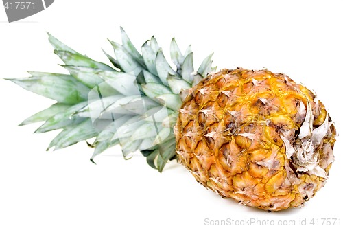 Image of Pineapple