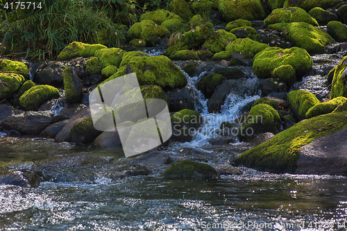 Image of Fast mountain river in Altay