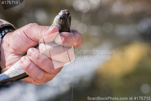 Image of Fisherman holding caught