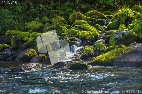 Image of Fast mountain river in Altay